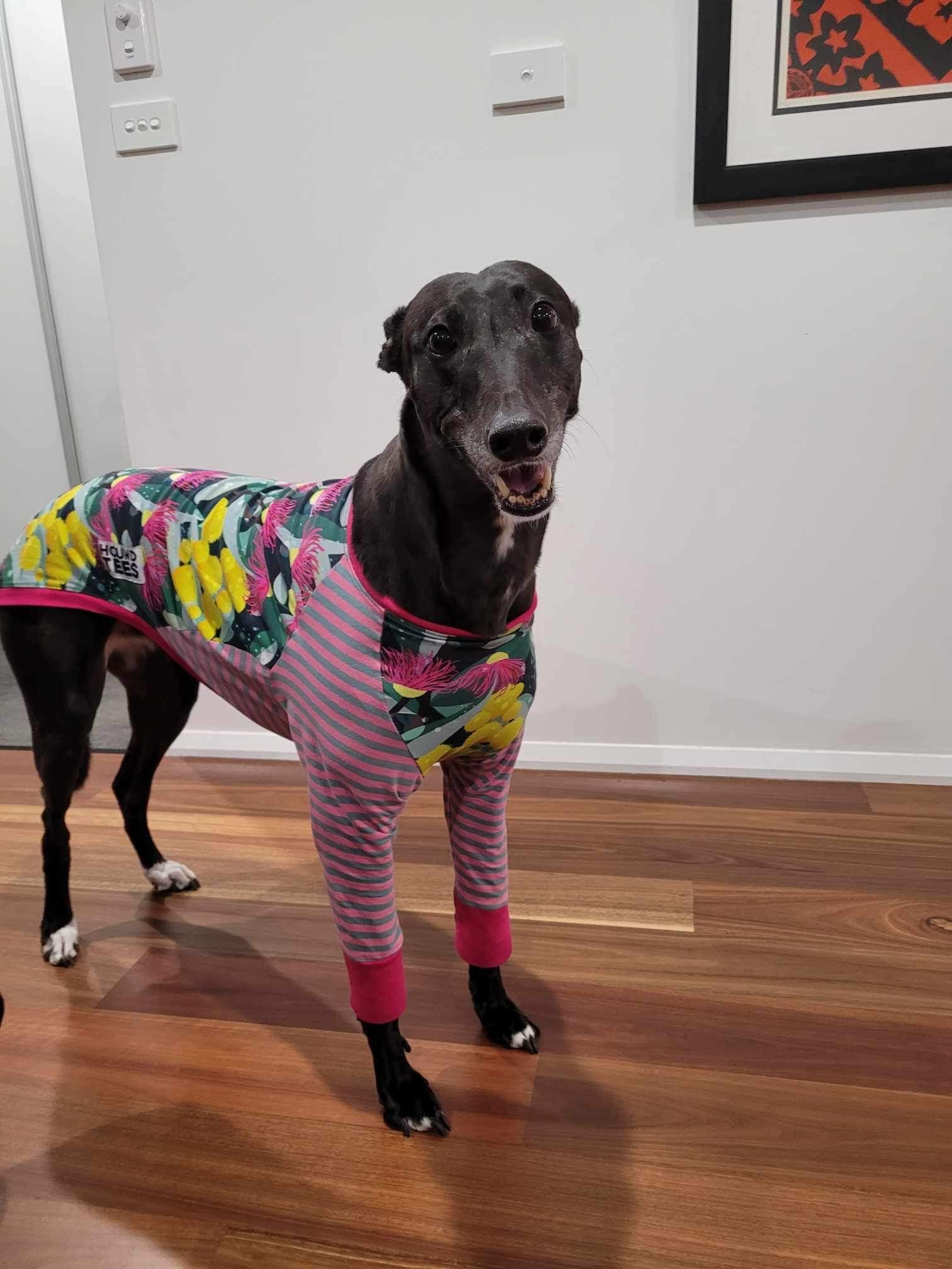Harlow modelling her colourful patterned outfit
